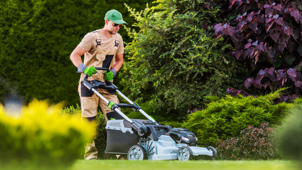 Should you cut wet grass?