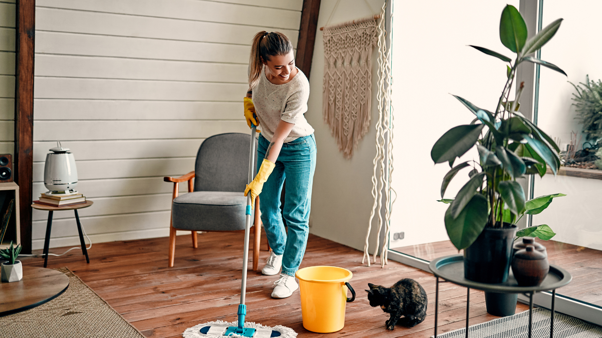 How the House Fly App Makes Home Maintenance Easy