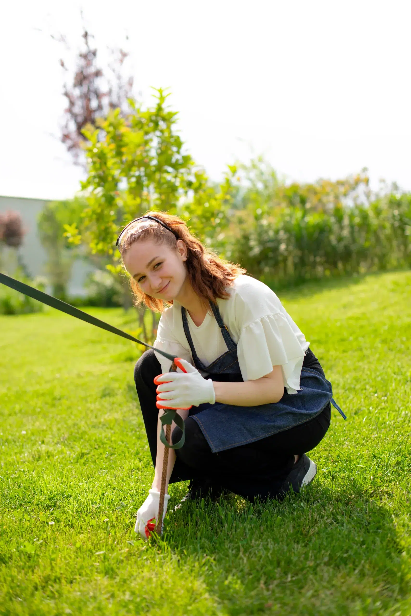 Lawn Care & Landscaping Services