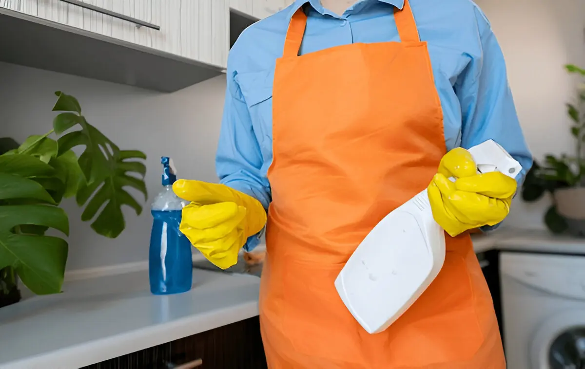 house cleaning tips