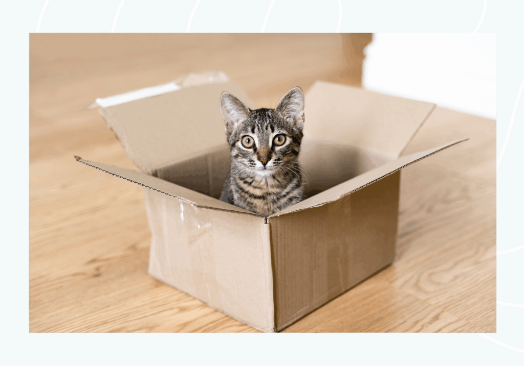 find a comoany to move items around my house