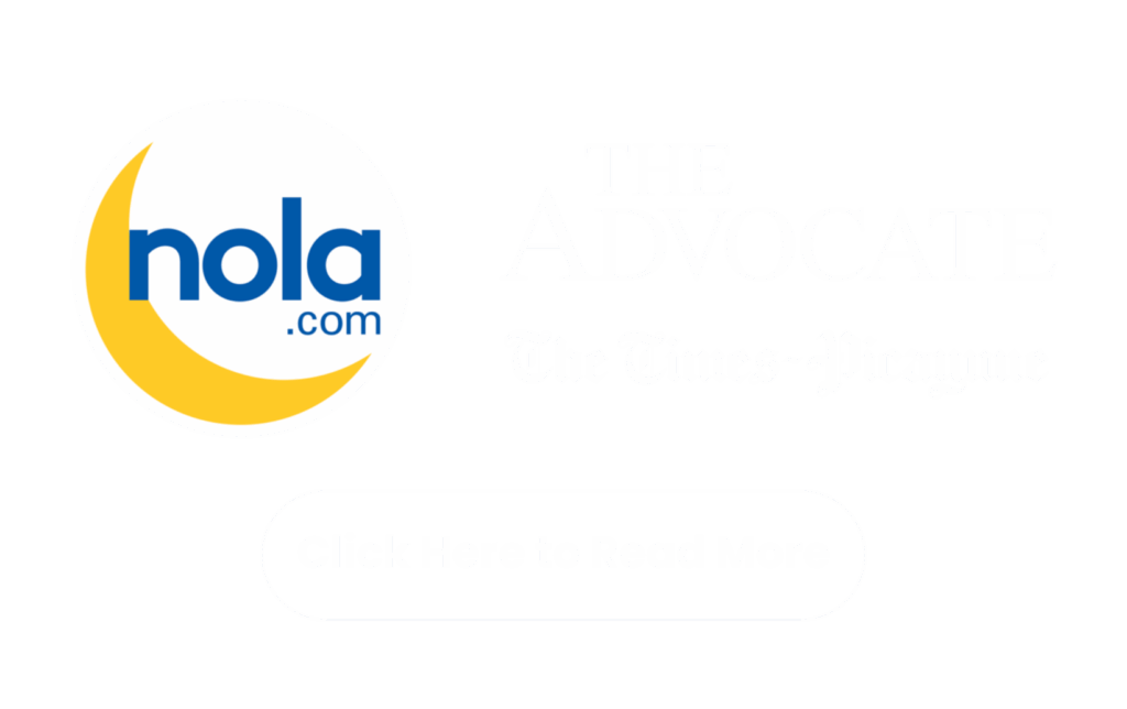 nola.com the advocate and times picayunne article about house fly home services new orleans