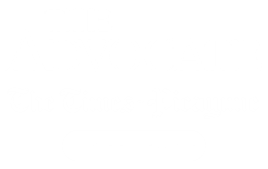 times picayunne and the advocate article about house fly home services new orleans