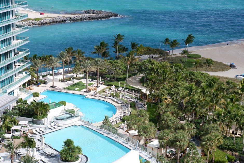 33 miami pool opening 1