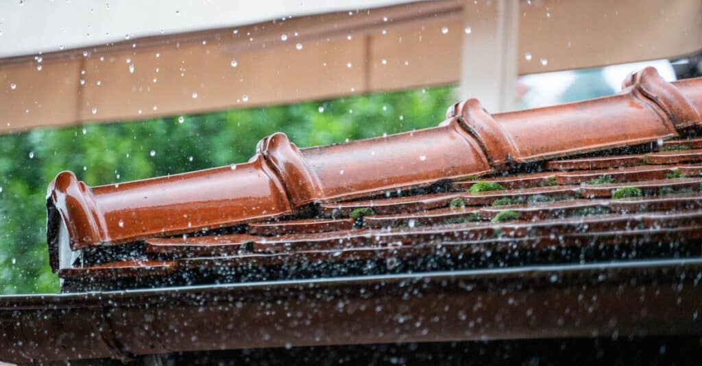 64 tampa summer rain management