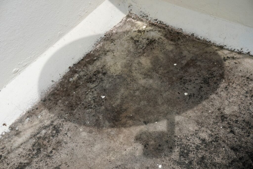 85 miami mold prevention