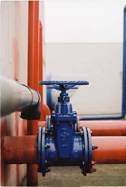 Water shutoff valve